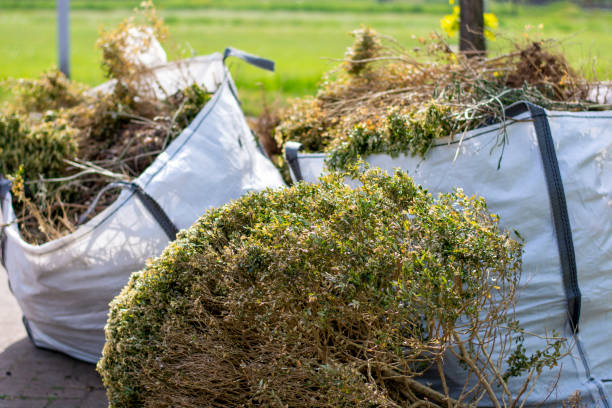 Best Demolition Debris Removal  in Morton, WA